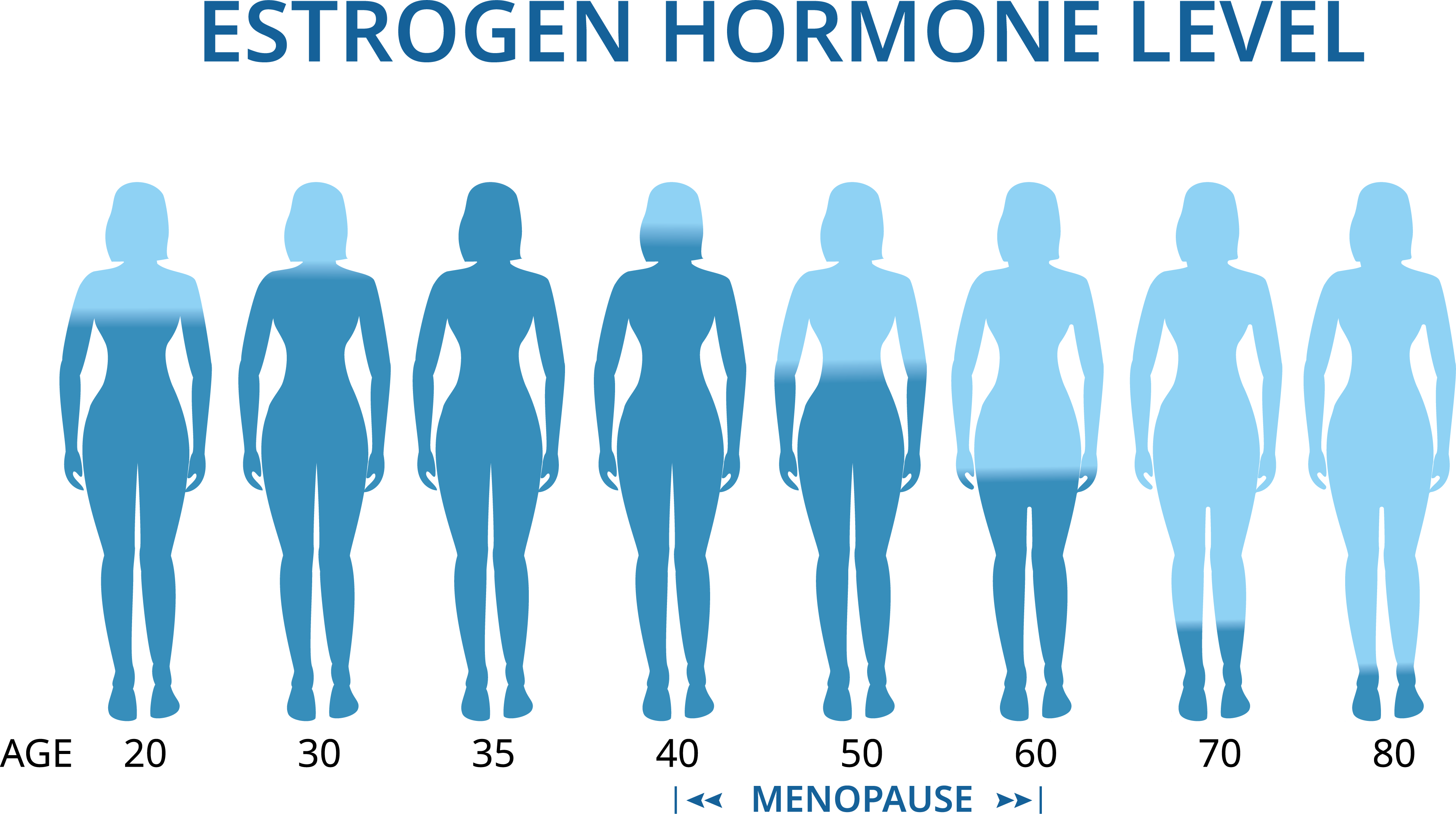 Estrogen Levels - Hormones